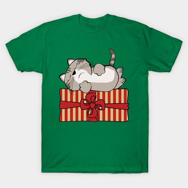 Cat on Gift Package T-Shirt by Sue Cervenka